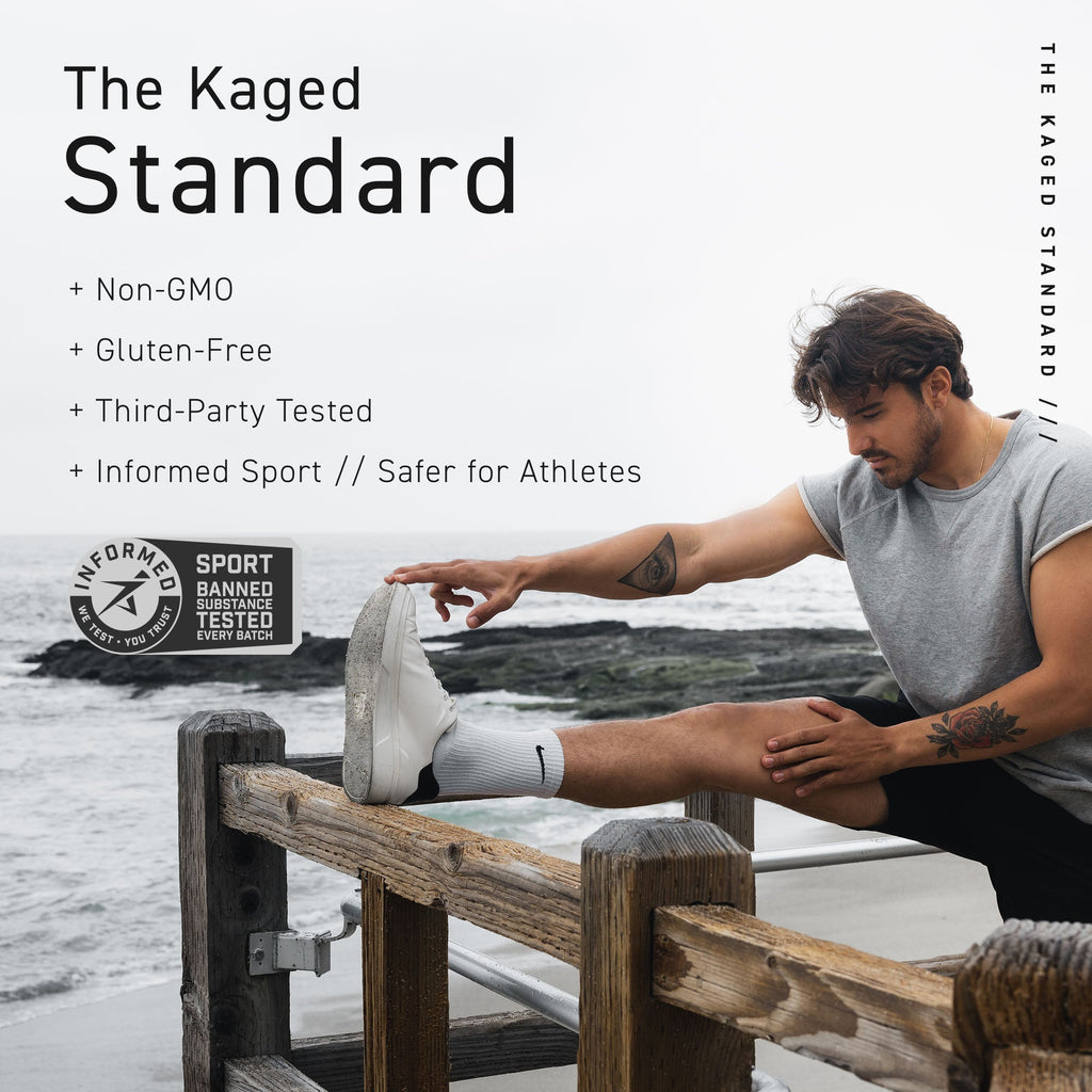 Poudre de protéines Plantein Kaged