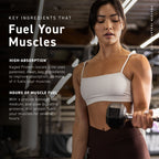 Kaged Protein Isolate Elite, poudre protéinée à libération prolongée